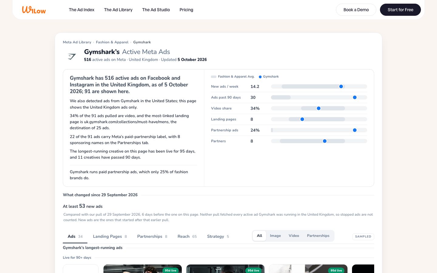 A programmatic brand page, here Gymshark, built from the same ad data.